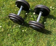 12.5kg Dumbbells x2