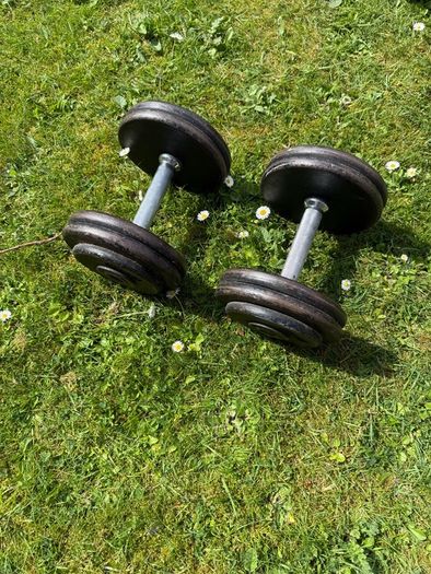 12.5kg Dumbbells x2