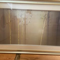Beautiful Limited Edition print and frame