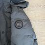 Canada goose Image 4