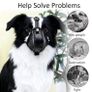 dog muzzle Image 5