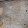 free Image 6