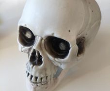 Plastic skull