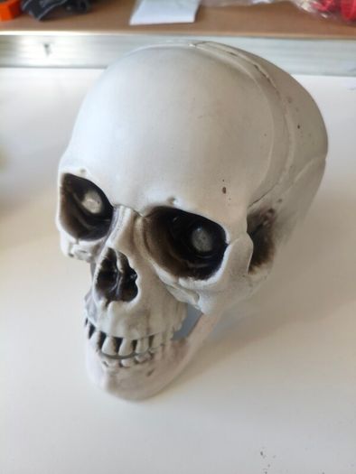 Plastic skull