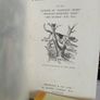 "Plain or Ringlets?" by Robert Smith Surtees, the Author of "Handley Cross", "Sponge's Sporting Tour", "Ask Mamma", Etc. Etc. Illustrated by John Leech (LP157) Image 2