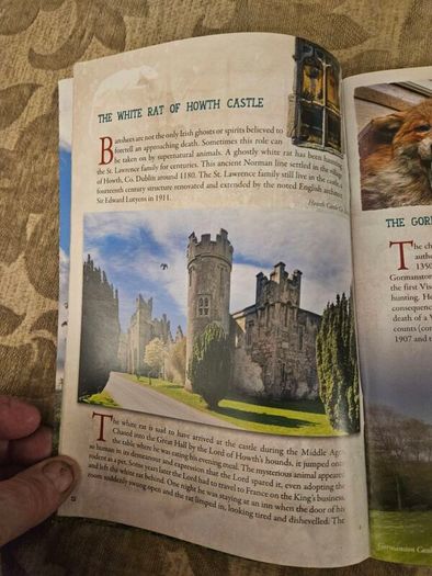 Haunted Ireland. Haunted Tales From An Ancient Land. By David Pritchard. Celtic Illustrations By Jim Fitzpatrick.  First Edition Paperback In Good Condition.  See Photos For Same.