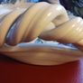 Ballydougan Studio pottery,large dish Image 3