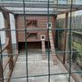 catio Image 2