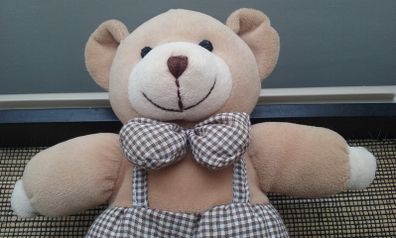 Teddy Bear Rattle