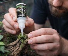 Terrario Plantir Super Glue 20g Safe for Terrarium and Aquarium