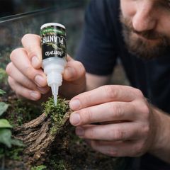 Terrario Plantir Super Glue 20g Safe for Terrarium and Aquarium
