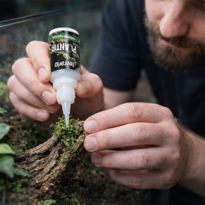 Terrario Plantir Super Glue 20g Safe for Terrarium and Aquarium