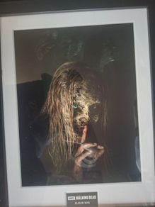 The walking dead Posters
