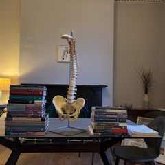 spine Model