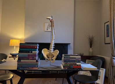 spine Model