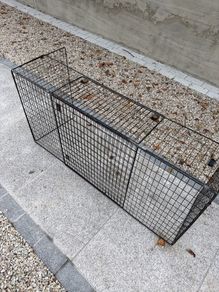 Fire Guard