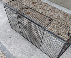 Fire Guard