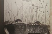 Raising The Fawn CD - The Maginot Line