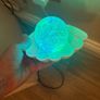 Clam glitter pearl led colour changing lamp Image 3