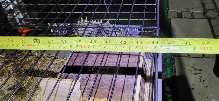 XXLarge  guinea pig & rabbit cage