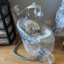 Baby Swing / Infant Rocker with Music & Mobile Image 2