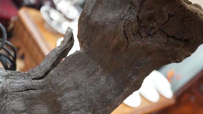 Bog Oak Sentinel_Bog Oak Table Lamp