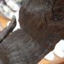 Bog Oak Sentinel_Bog Oak Table Lamp Image 5