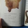 Giant Book of the Cat Image 6