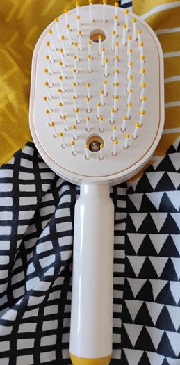 Steam brush