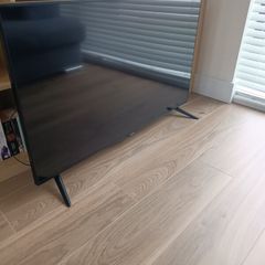 Panasonic 48'' 4K Ultra HD LCD TV