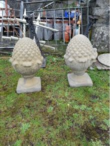Pineapple Piers EG016