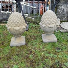 Pineapple Piers EG016