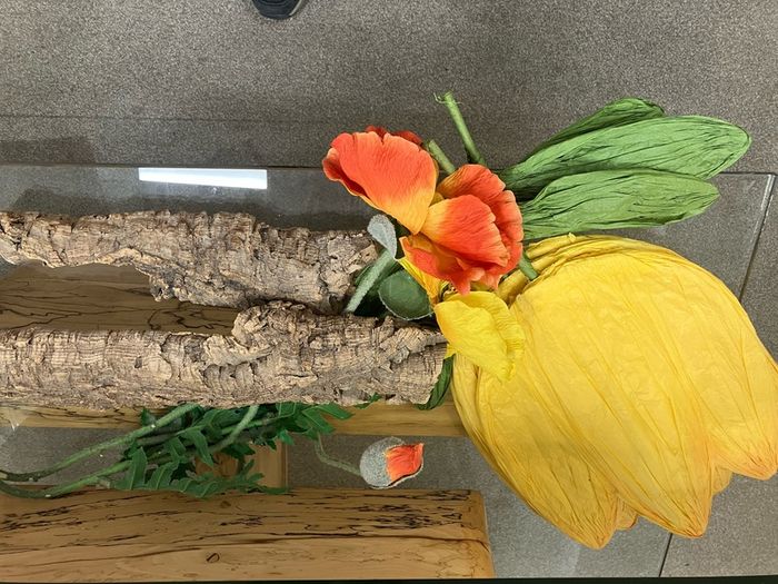display props