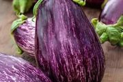(A) Aubergine Tsakoniki seeds 1g (442816)