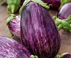 (A) Aubergine Tsakoniki seeds 1g (442816)