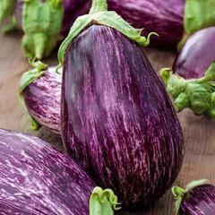 (A) Aubergine Tsakoniki seeds 1g (442816)
