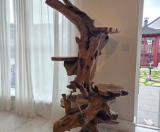 Teak Rootwood plant stand