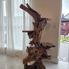 Teak Rootwood plant stand