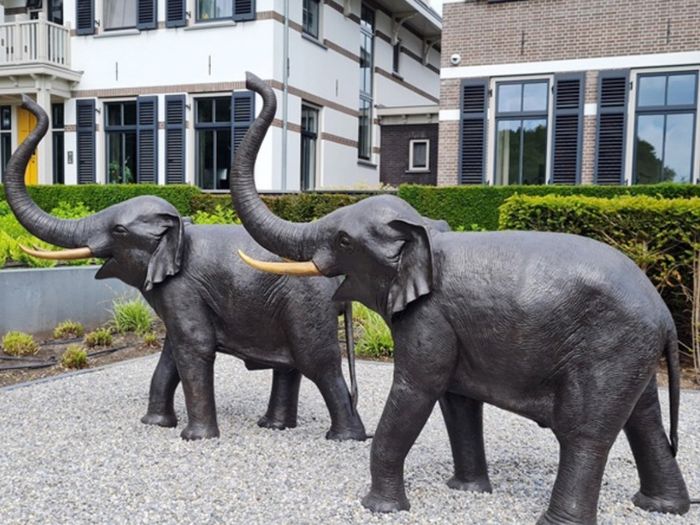 Pair of bronze elephants