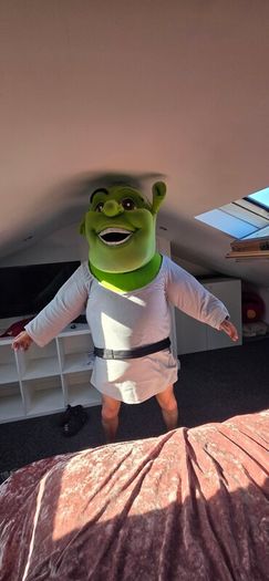 children's entertainment costume