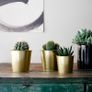 Gold Plant pot Image 3