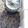 MACAllister MBV2800, Leaf Vacuum and Blower with Collection Bag, in like new condition, working great Image 4