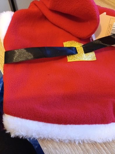 Santa dog coat