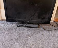 bush monitor