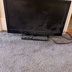 bush monitor