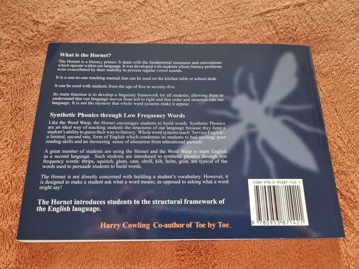 The Hornet Literacy Primer dyslexia program