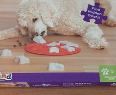 Dog items