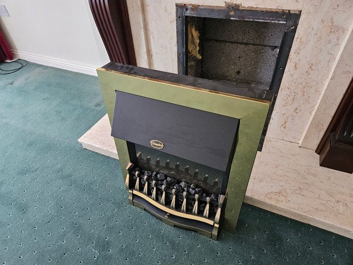 Electric fire insert