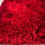 Rug Image 4
