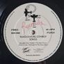 Pinto Bennett And The Famous Motel Cowboys - Famous Motel Cowboy Songs Vinyl Image 3